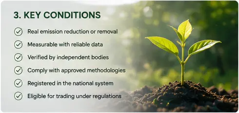 The Legal Framework for Vietnam’s Carbon Market: Rules & Requirements for Investors