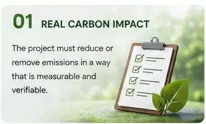 Carbon Project Bottlenecks: Why Not Every Project Makes Money from Carbon?