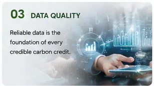 Carbon Project Bottlenecks: Why Not Every Project Makes Money from Carbon?