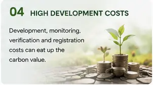 Carbon Project Bottlenecks: Why Not Every Project Makes Money from Carbon?