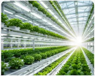 Vietnam Investment Opportunities & Project Development | MetaHome