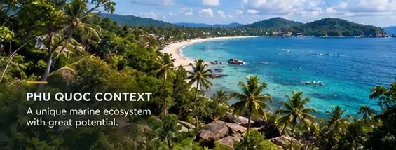 MetaHome and Boreal Company Explore Seagrass Restoration in Phu Quoc