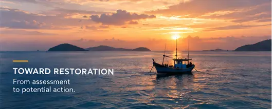 MetaHome and Boreal Company Explore Seagrass Restoration in Phu Quoc